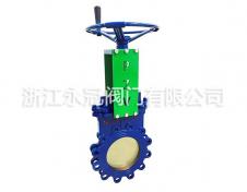 手動偏(pian)心暗杆刀(dao)閘閥PZ43H